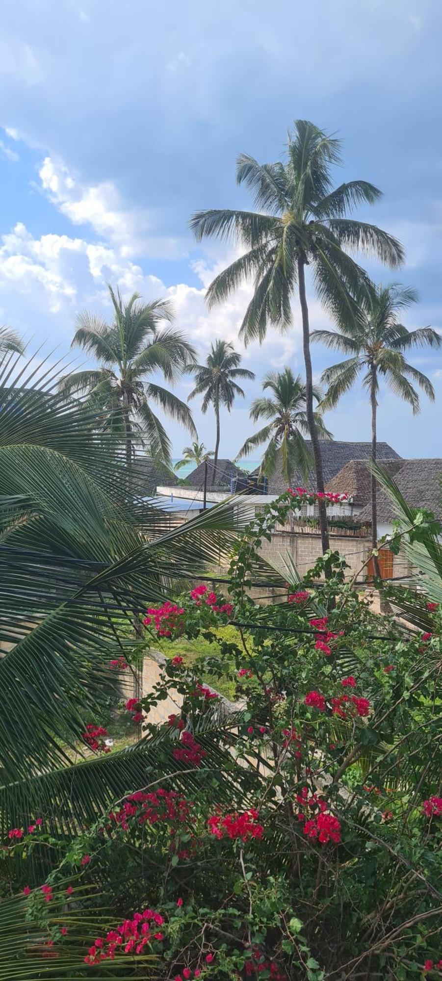 Mambo Boutique Nungwi Hotel Exterior photo